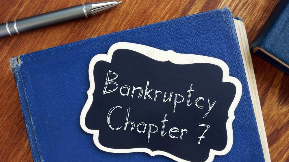 Don't Let Debt Control You: Learn How to File Chapter 7 Bankruptcy for Free Online! 1 Chapter 7 Bankruptcy for Free Online!
