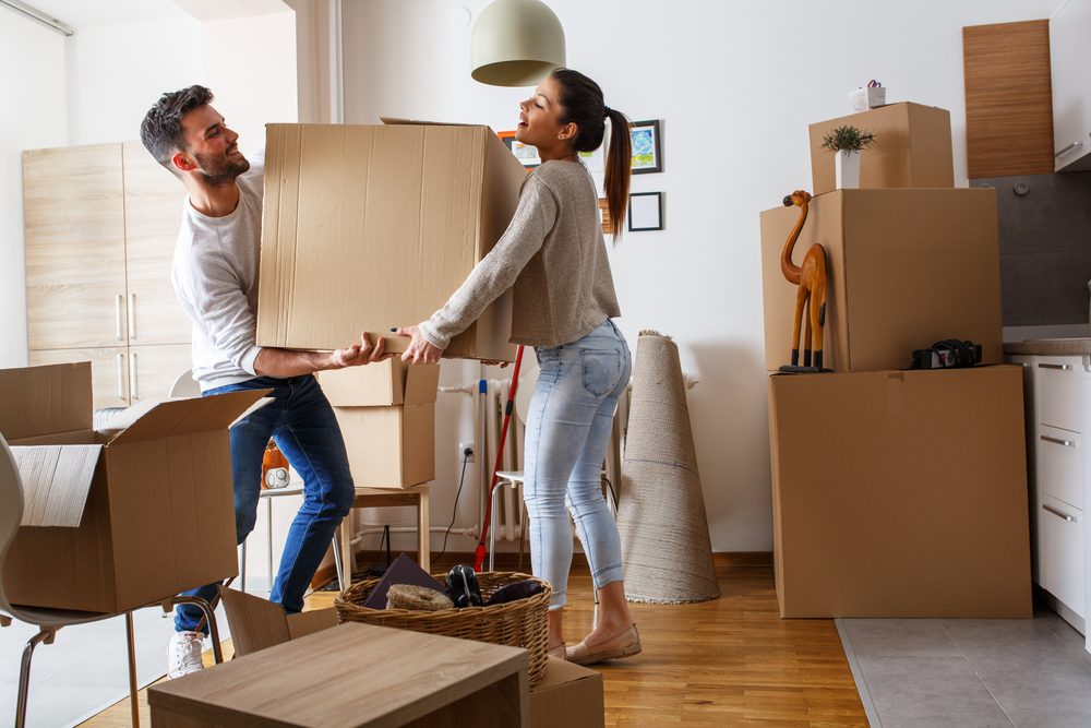 Can You Rent an Apartment After Bankruptcy? Find Out Here! 1 Can You Rent an Apartment After Bankruptcy? Find Out Here!
property management companies bankruptcy filing rent payments pay rent employment history rental history rental property late payments filing bankruptcy