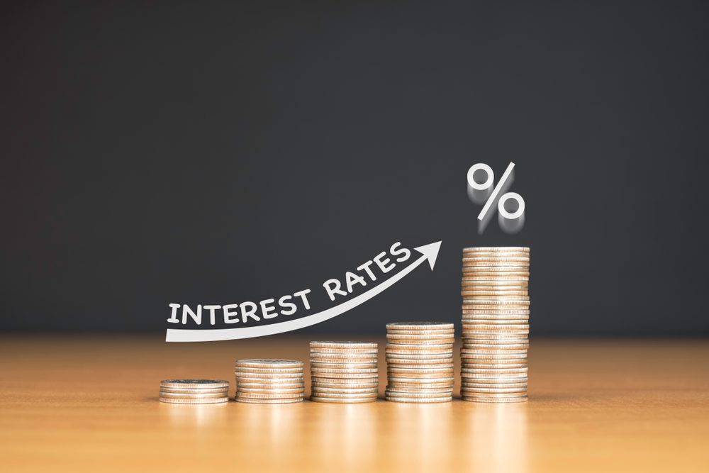 New Start Capital Personal Loans: Everything You Need to Know Before Applying 2 interest rates